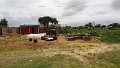 AMO (237)